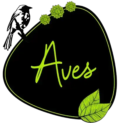 Ave colorida posada en una rama durante un tour de avistamiento en Pijao