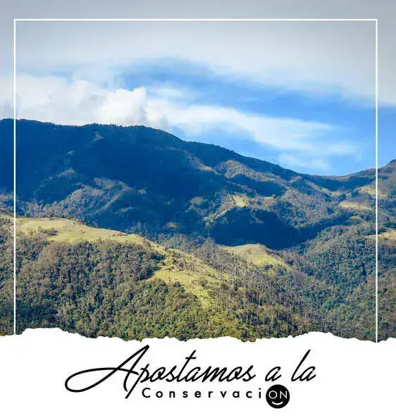 Pieza legal 3 Bio Onda