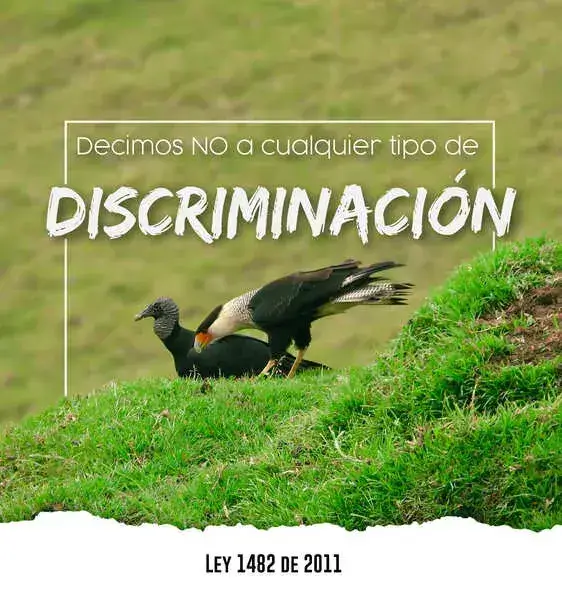 Pieza legal 5 Bio Onda