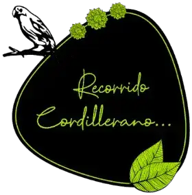 Recorrido por la cordillera andina desde Pijao